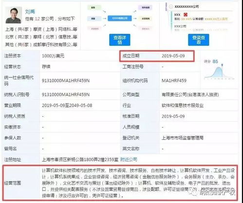 商标注册成功背后的创业困境 软件开发公司的兴衰启示录